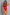 Sculp Sheer Mesh Sleeveless Bodysuit – Red