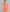 Sleeveless open back gym unitard with mid-thigh shorts