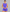 Sleeveless open back gym unitard with mid-thigh shorts